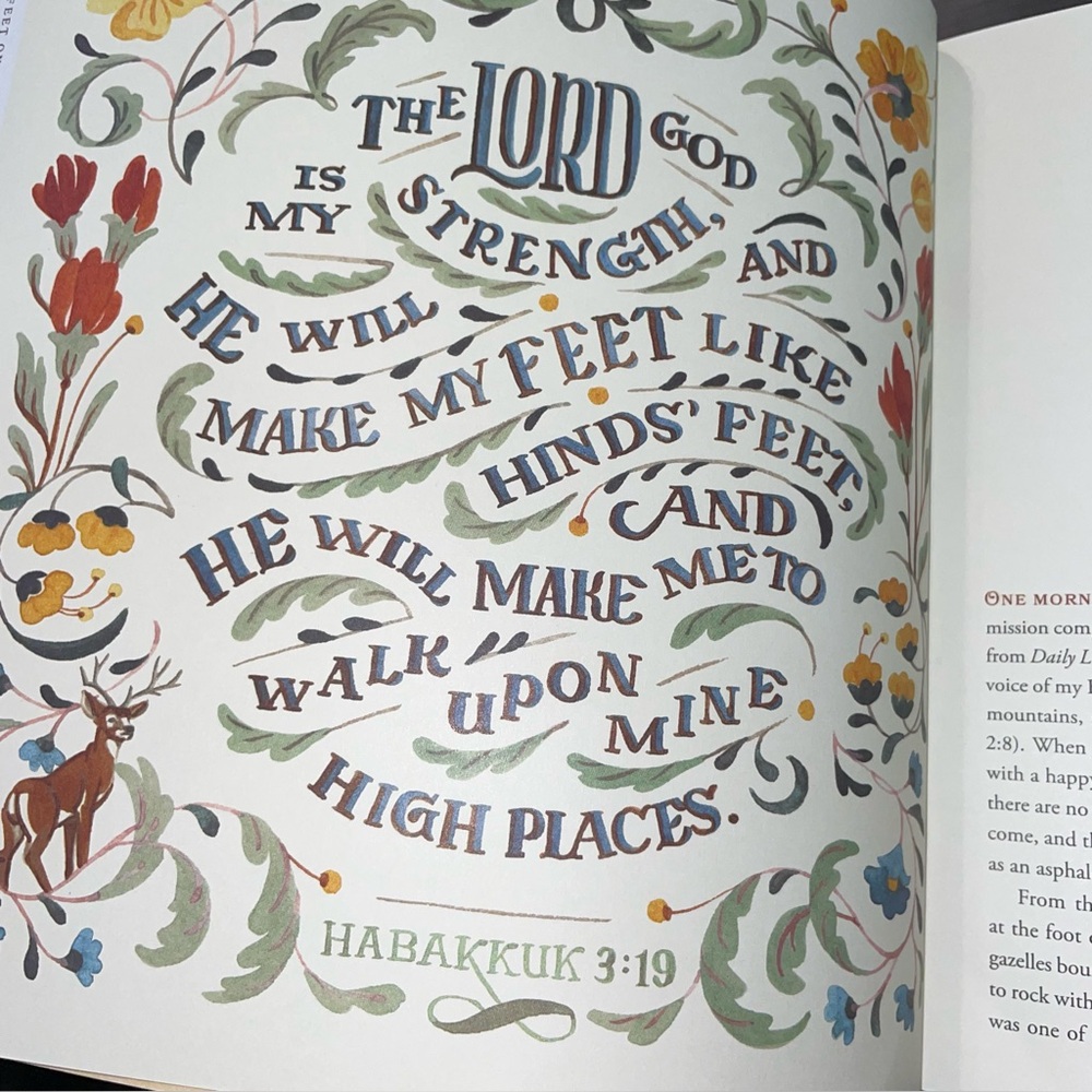 Hinds' Feet on High Places: An Engaging Visual Journey -- Hannah Hurnard NEW - Picture 6 of 11